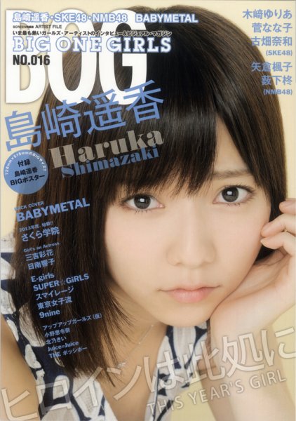 BIG ONE GIRLS（ビッグワンガールズ） NO.016 (発売日2013年05月27日) 表紙