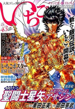 チャンピオンREDいちごVOL.31  別冊付録 2025年最新】チャンピオンredいちごの人気アイテム - メルカリ