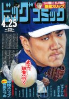 ビッグコミック 2014年4/25号 (発売日2014年04月10日) 表紙