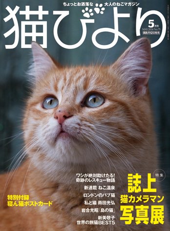 猫びより 75号 (発売日2014年04月12日) 表紙