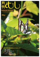 月刊むし 519 (発売日2014年04月22日) 表紙