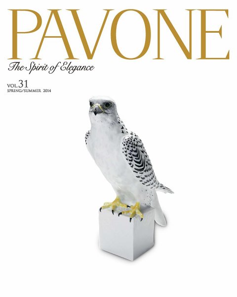 PAVONE（パボーネ） vol.31 (発売日2014年04月20日) 表紙