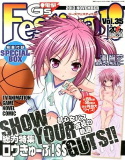 電撃G's Festival (ジーズフェスティバル) Vol.35 (発売日2013年