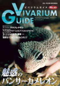 ビバリウムガイド 65号 (発売日2014年04月26日) 表紙