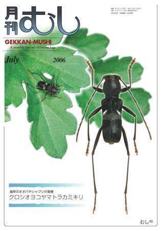 月刊むし 425 (発売日2006年06月20日) 表紙