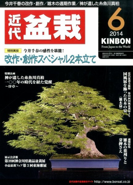 月刊 近代盆栽 2014年6月号 (発売日2014年05月02日) 表紙
