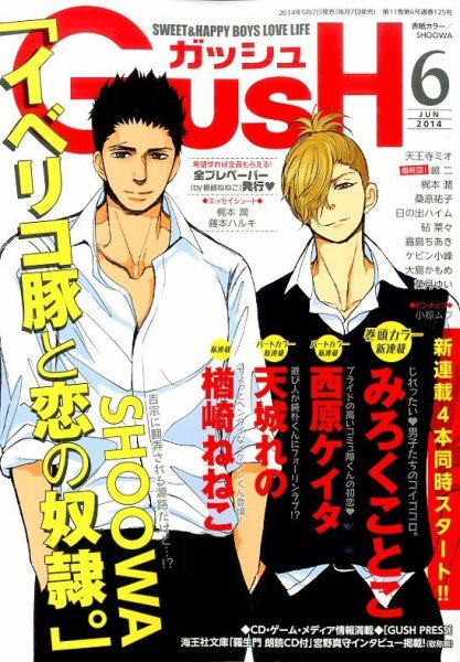 GUSH（ガッシュ） 2014年6月号 (発売日2014年05月07日) 表紙