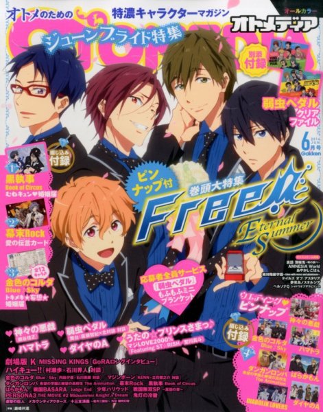 オトメディア  2014年6月号 (発売日2014年05月10日) 表紙