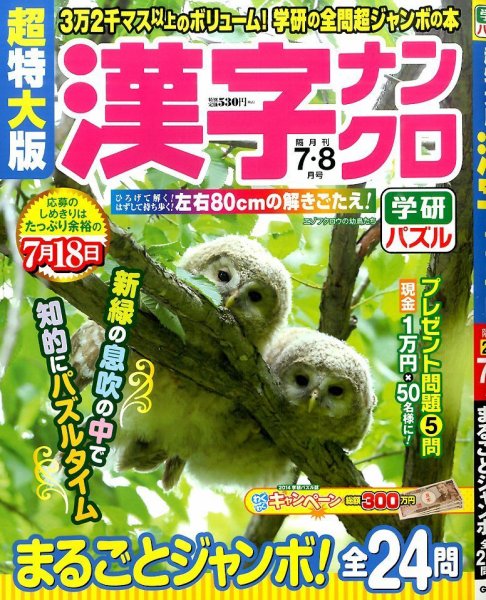 超特大版漢字ナンクロ 2014年7月号 (発売日2014年05月19日) 表紙