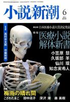 小説新潮 2014年6月号 (発売日2014年05月22日) 表紙
