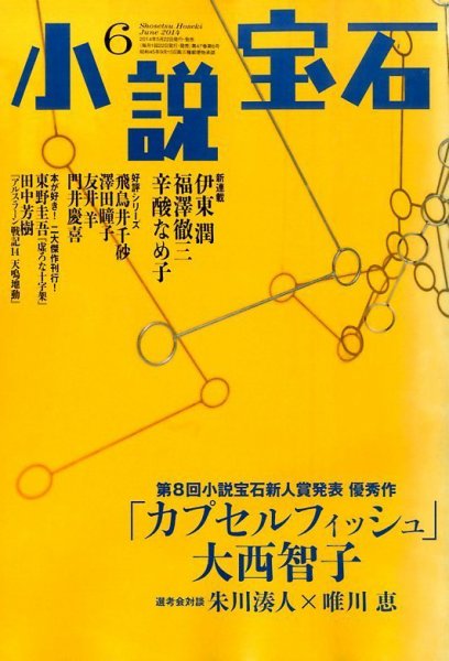 小説宝石 2014年6月号 (発売日2014年05月22日) 表紙