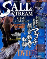 ★SALT & STREAM (ソルトアンドストリーム) 2013年 7月号 SALT＆STREAM（ソルト＆ストリーム）のバックナンバー (2ページ