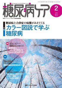 糖尿病ケア＋（プラス） 2月号 (発売日2014年01月07日) 表紙