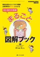 消化器ナーシング 春季増刊 表紙