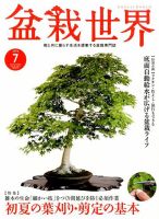 盆栽世界 2014年7月号 (発売日2014年06月04日) 表紙