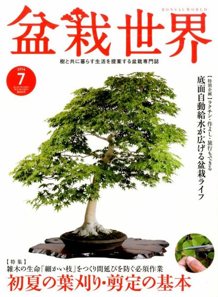 盆栽世界 2014年7月号 (発売日2014年06月04日) 表紙