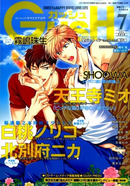 GUSH（ガッシュ） 2014年7月号 (発売日2014年06月07日) 表紙