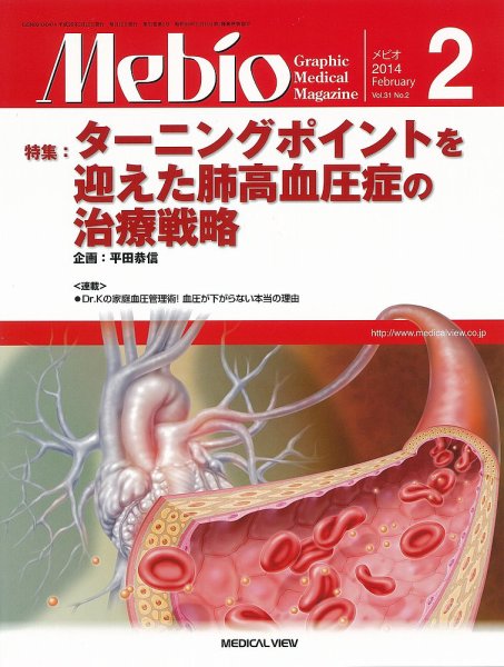 Mebio 2014年2月号 (発売日2014年01月11日) 表紙