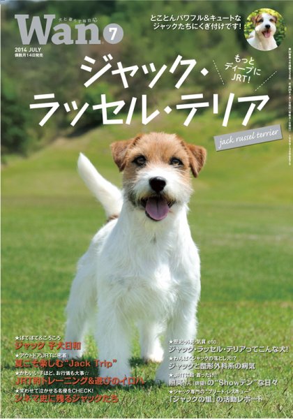 wan（わん） 2014年7月号 (発売日2014年06月13日) 表紙