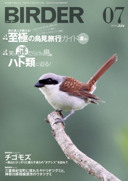 BIRDER（バーダー） 2014年7月号 (発売日2014年06月16日) 表紙