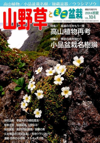 山野草とミニ盆栽 2014年7月号 (発売日2014年06月12日) 表紙