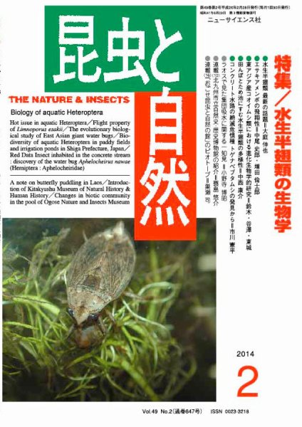 昆虫と自然 2014年2月号 (発売日2014年01月20日) 表紙