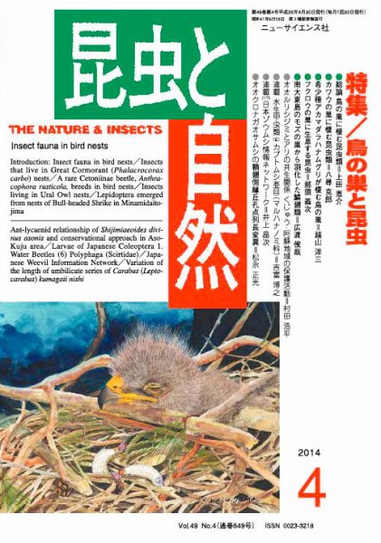 昆虫と自然 2014年4月号 (発売日2014年03月20日) 表紙