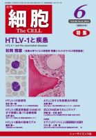 細胞 2014年6月号 (発売日2014年05月31日) 表紙