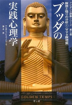 ブッダの実践心理学～アビダンマ講義シリーズ～ 7 (発売日2012年10月28日) 表紙