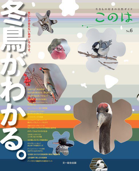 生きもの好きの自然ガイド「このは」 No.6 (発売日2013年12月10日) 表紙