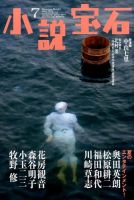 小説宝石 2014年7月号 (発売日2014年06月21日) 表紙
