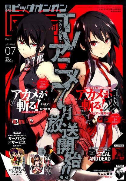 ビッグガンガン 2014年7/24号 (発売日2014年06月25日) 表紙