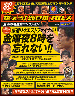 燃えろ！新日本プロレス Vol.66 (発売日2014年04月10日) | 雑誌/定期