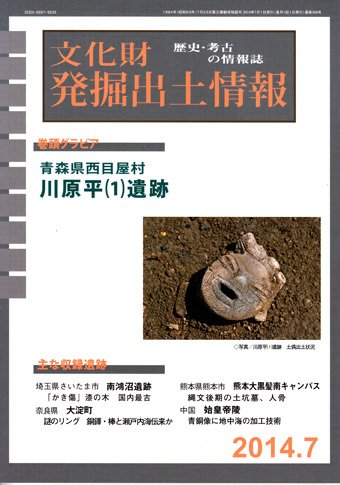 文化財発掘出土情報 7月号 (発売日2014年07月01日) 表紙