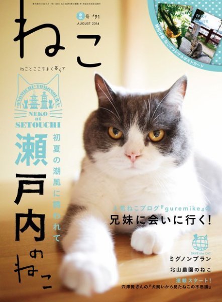 ねこ ＃91 (発売日2014年07月11日) 表紙