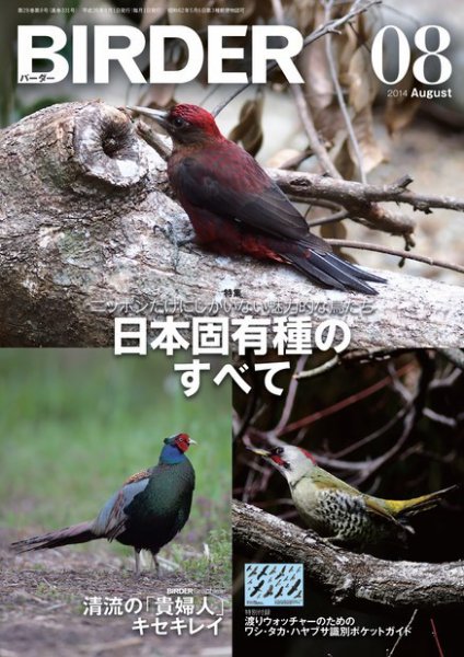 BIRDER（バーダー） 2014年8月号 (発売日2014年07月16日) 表紙