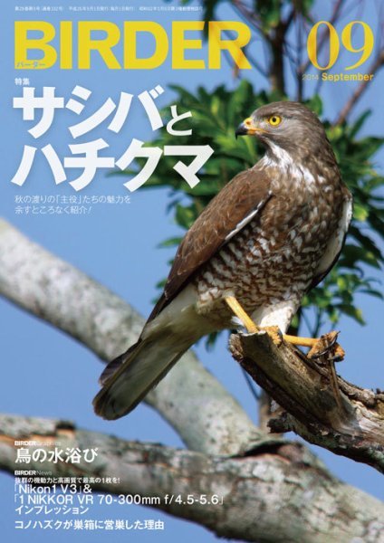 BIRDER（バーダー） 2014年9月号 (発売日2014年08月16日) 表紙