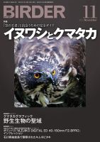 BIRDER（バーダー） 2014年11月号 (発売日2014年10月16日) 表紙