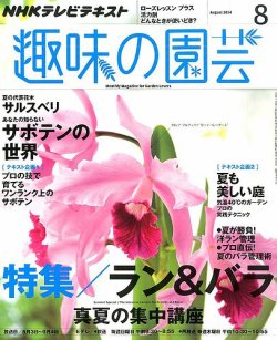 セール アングラ 雑誌