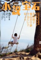 小説宝石 2014年8月号 表紙