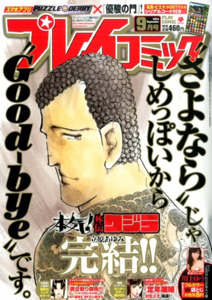 プレイコミック 2014年9月号 (発売日2014年07月25日) 表紙