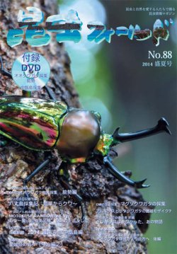 昆虫フィールド 88号 (発売日2014年08月12日) 表紙