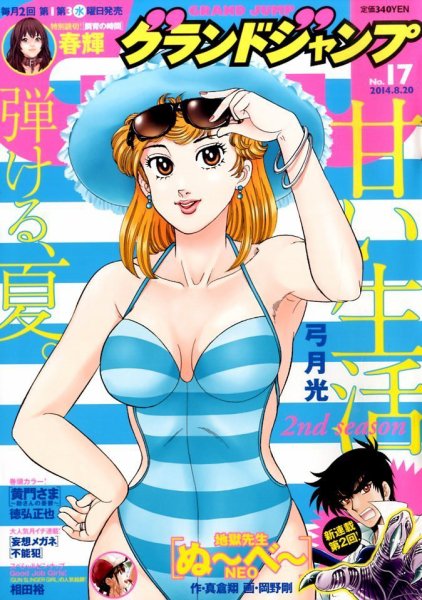 グランドジャンプ 2014年8/20号 (発売日2014年08月06日) 表紙