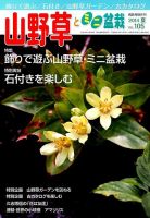 山野草とミニ盆栽 2014年9月号 (発売日2014年08月12日) 表紙