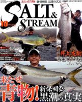 ★SALT & STREAM (ソルトアンドストリーム) 2013年 7月号 ☆SALT & STREAM (ソルトアンドストリーム) 2013年 7月号
