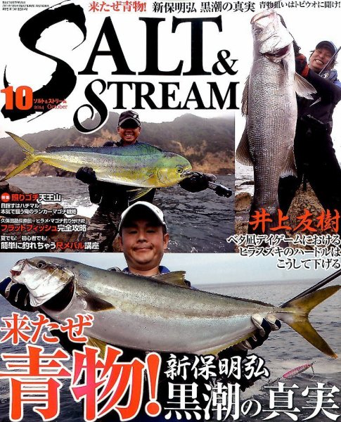 SALT＆STREAM（ソルト＆ストリーム） 2014年10月号 (発売日2014年08月21日) 表紙