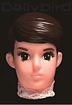 dollybird（ドーリーバード） vol.11 (発売日2008年11月26日) 表紙