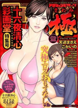 増刊 アクションピザッツDX (ディーエックス) 2014年02月14日発売号