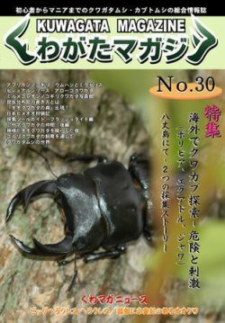くわがたマガジン 30号 (発売日2006年07月30日) | 雑誌/定期購読の予約 