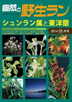 東洋蘭と西洋蘭　実際園芸叢書　第十四編 雑誌/定期購読の予約はFujisan 雑誌内検索：【ホラン千秋】 が園芸